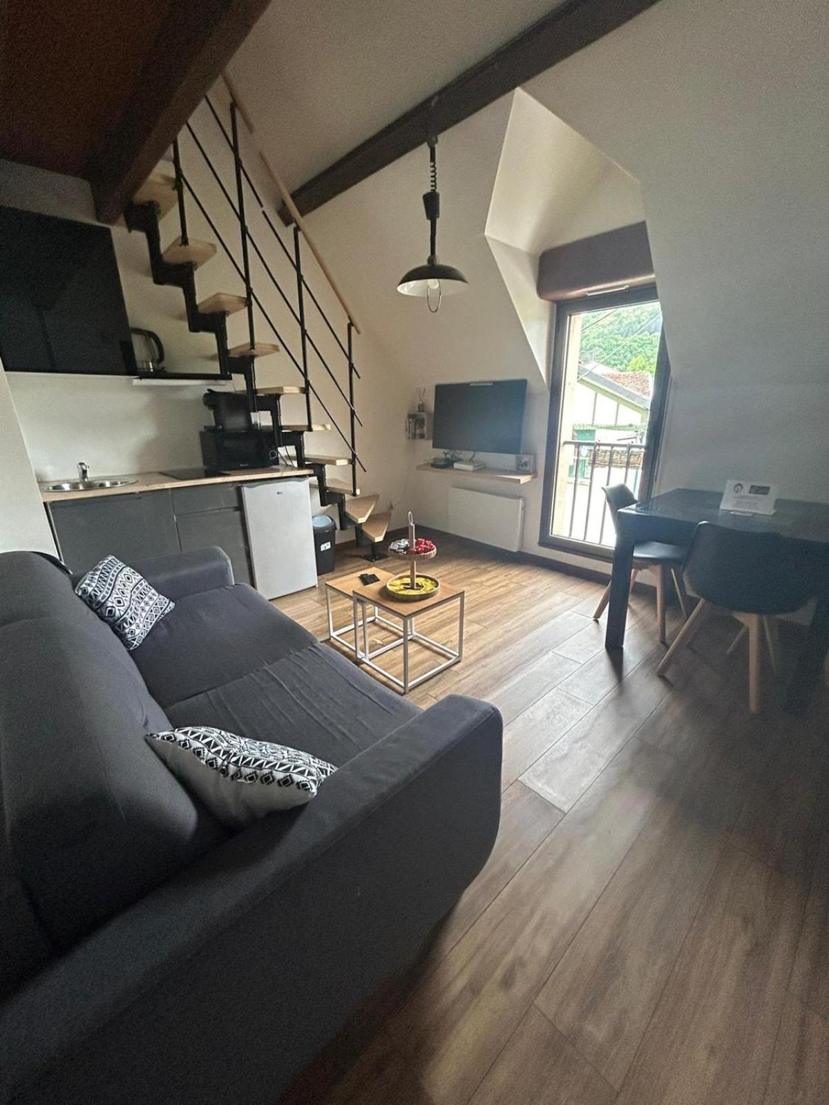 Reve Divin T4 Avec Parking-Barbecue-Laverie-Bagagerie-Salle De Sport-Aire De Jeux-Climatise Lourdes Luaran gambar