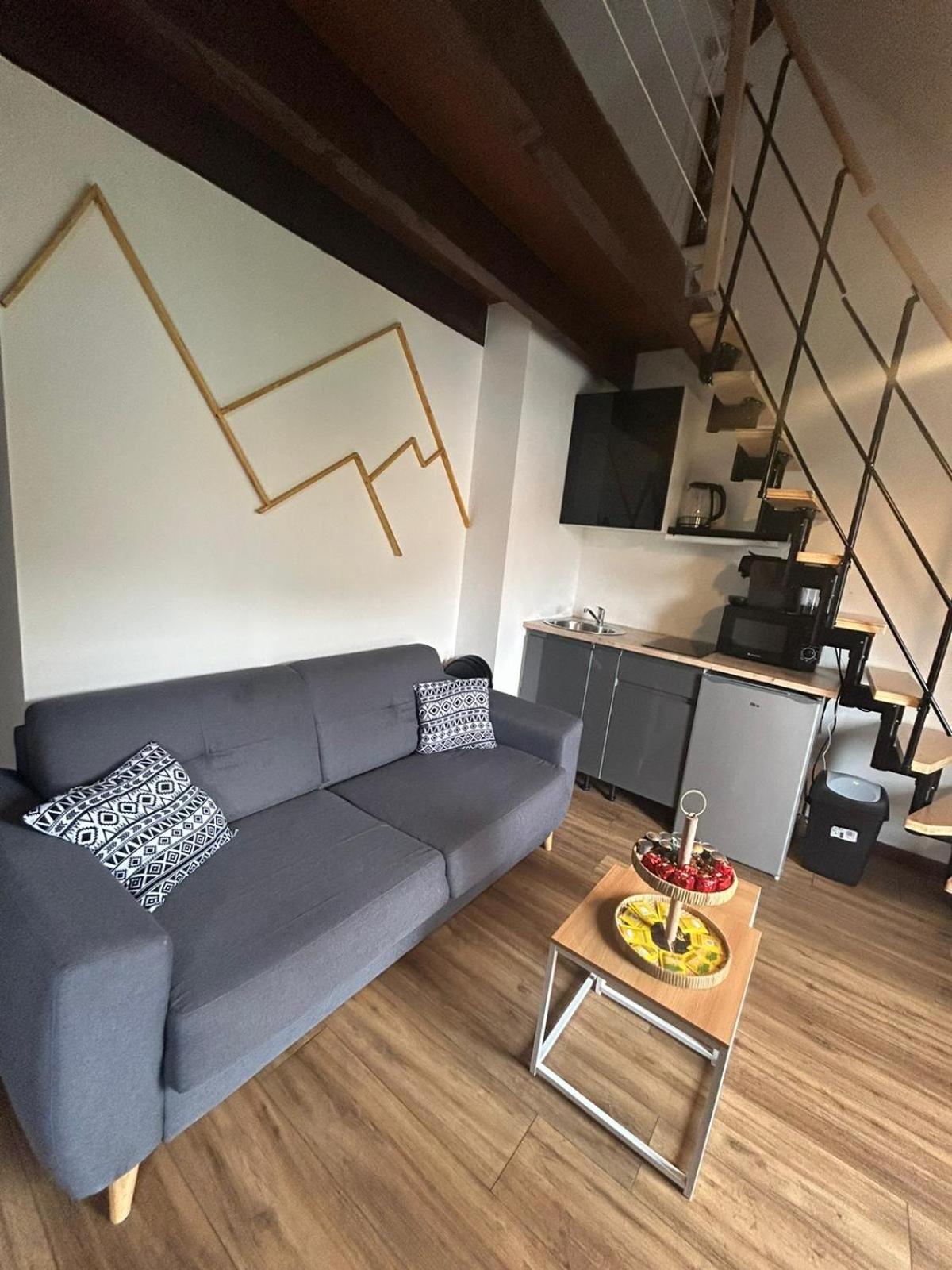 Reve Divin T4 Avec Parking-Barbecue-Laverie-Bagagerie-Salle De Sport-Aire De Jeux-Climatise Lourdes Luaran gambar